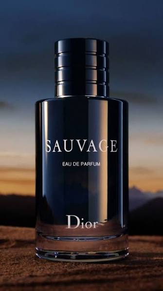 Sauvage Dior Perfume Eau De Parfum